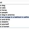 6393 - Search Engine Suggestions