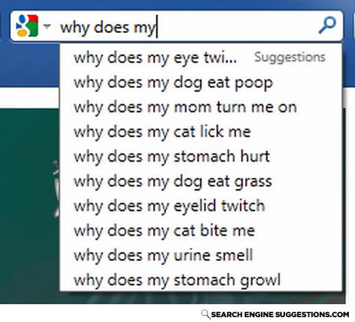 Searchenginesuggestions-com-6489d0