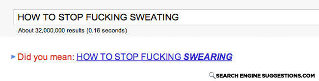 Searchenginesuggestions-com-0c8252