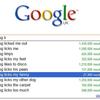 24371 - Search Engine Suggestions