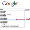 20651 - Search Engine Suggestions
