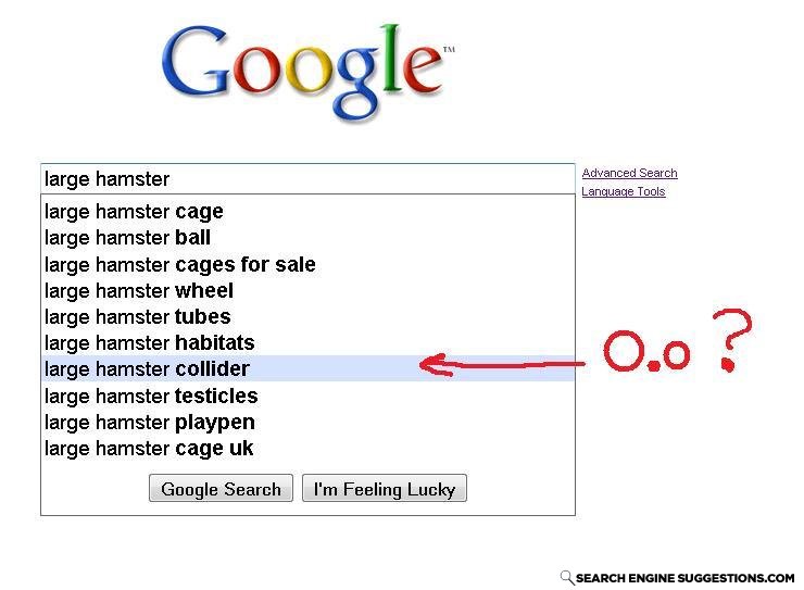 Hampster_collider
