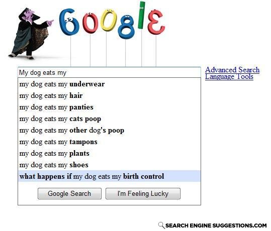What_happens_if_my_dog_eats_my_birth_control