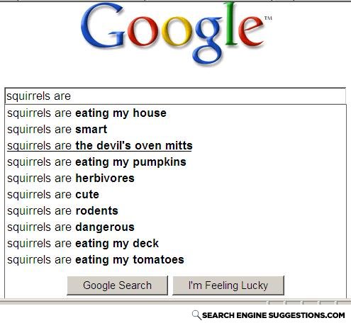 Squirrels_are_the_devil_s_oven_mits_