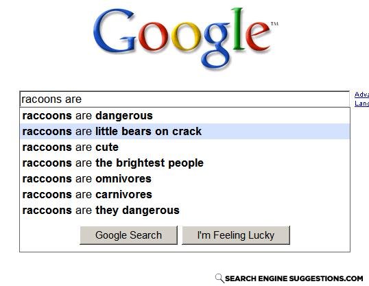 Racoons_on_crack