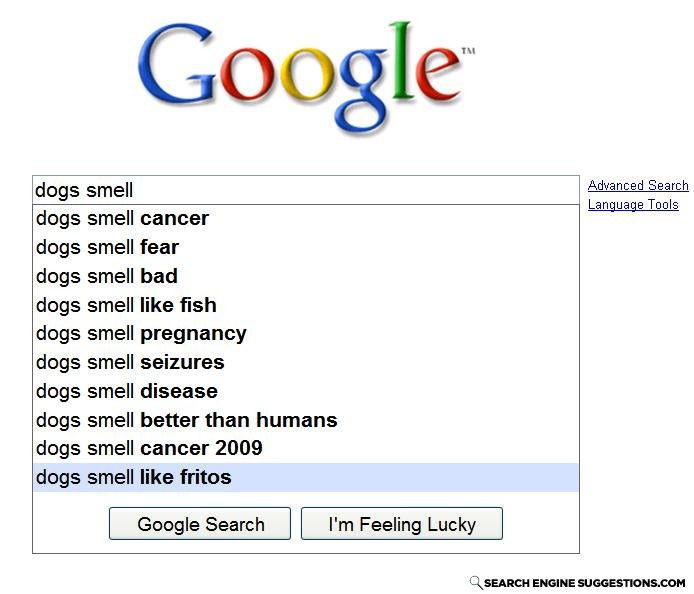 Dogs_smell