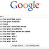 17123 - Search Engine Suggestions