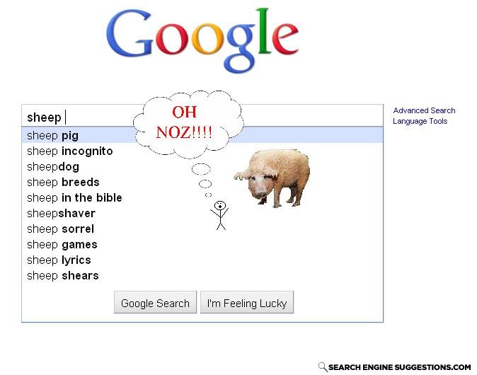 Sheeppig
