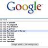 9228 - Search Engine Suggestions