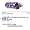 24351 - Search Engine Suggestions