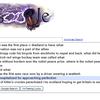 5668 - Search Engine Suggestions