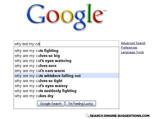 Cats