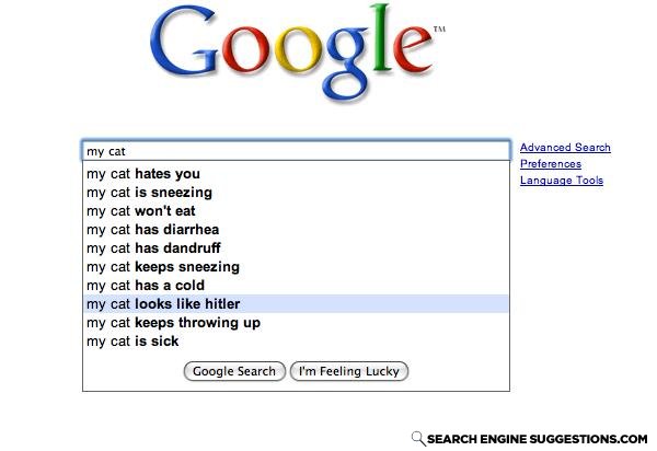 Omfgmycat