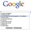 16201 - Search Engine Suggestions